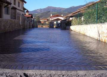 Espiga - 
	AMPUERO,CANTABRIA,2008
